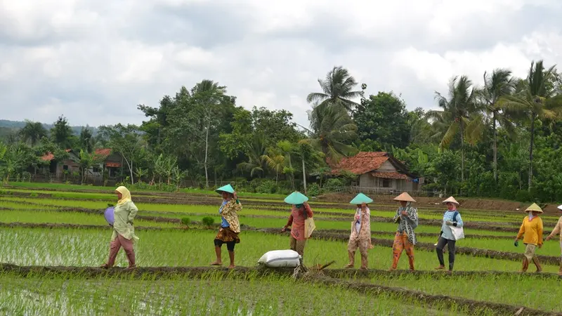 Aktivitas di Desa Busung Indah 2